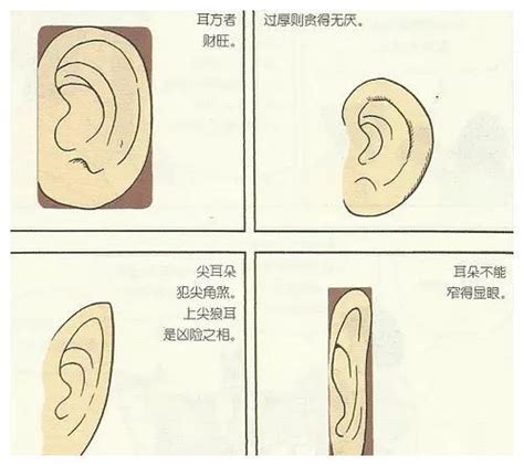 耳 相|十六种耳朵面相图文分析三六风水网